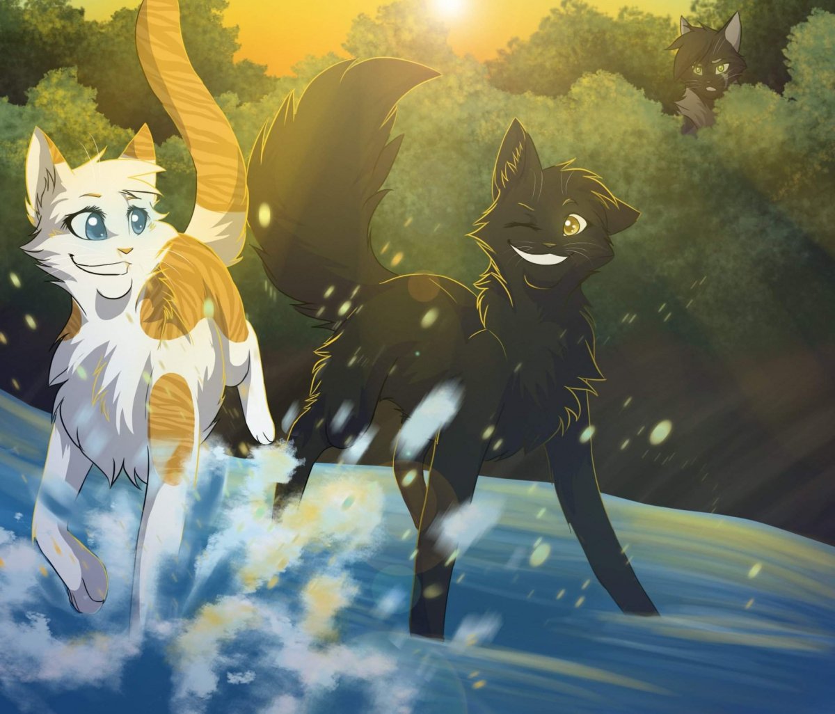 Cats Warriors Кленовница