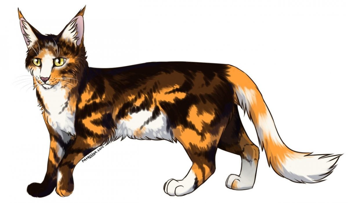 Коты Воители сол