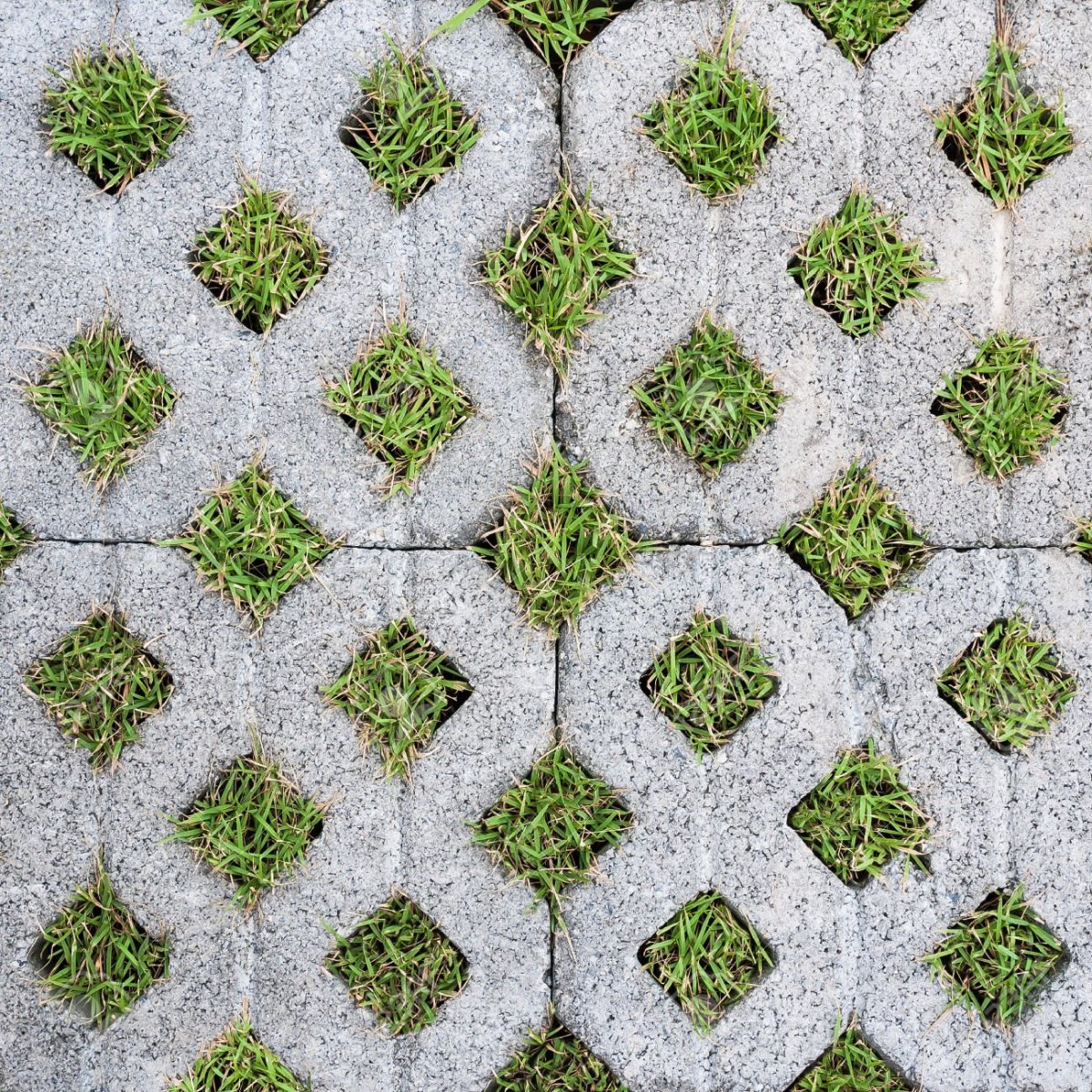 Газонная решетка вид сверху