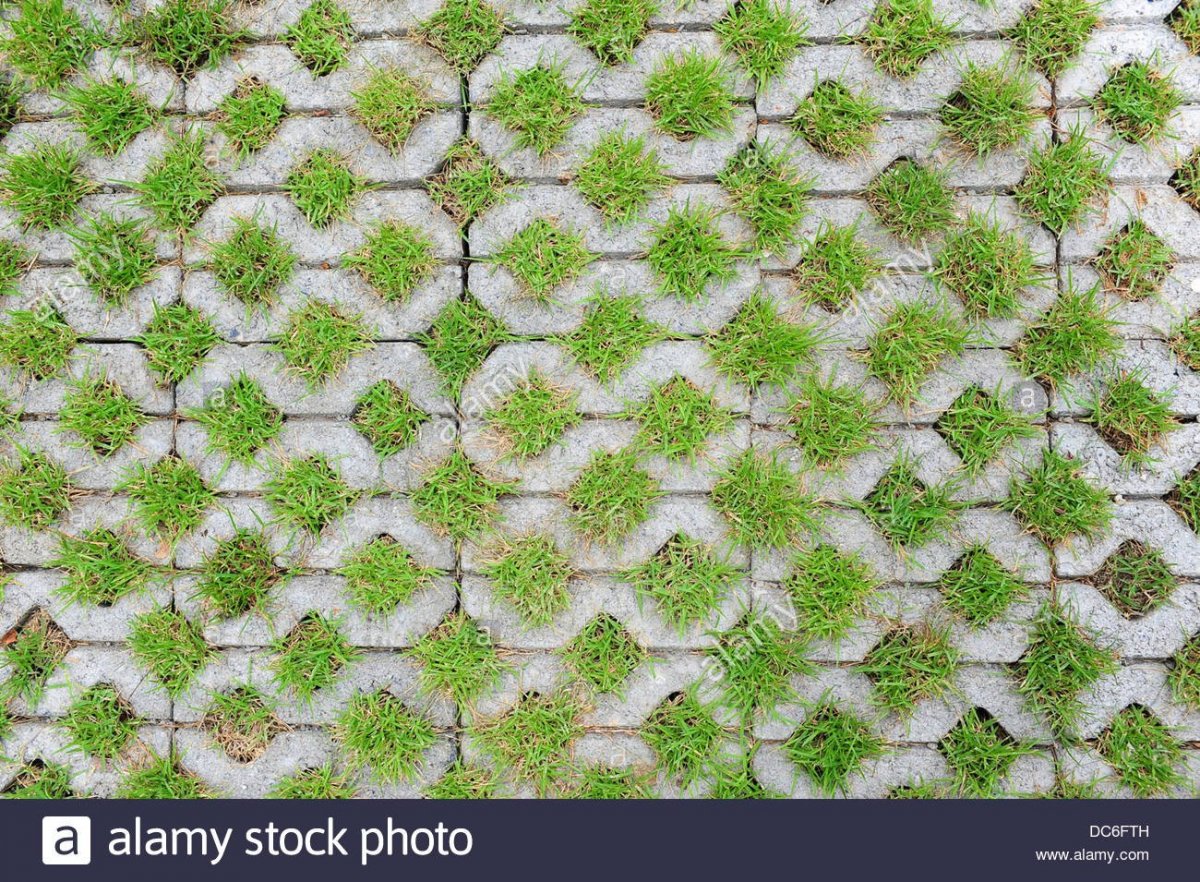 Текстура тротуарной плитки с травой