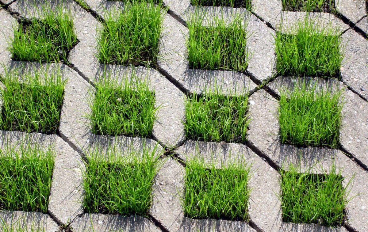 Газонная решетка эко парк