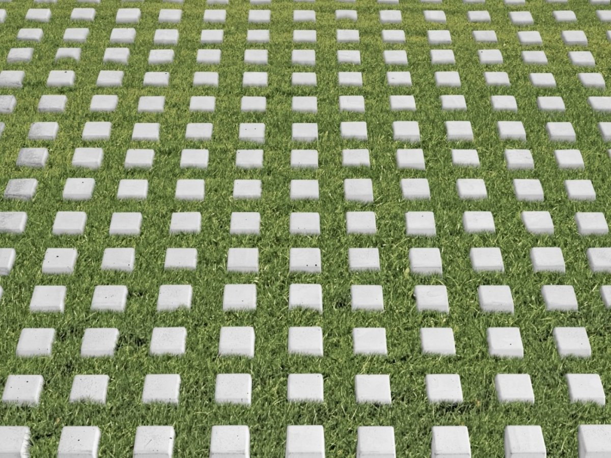 Экопарковка тте пирог