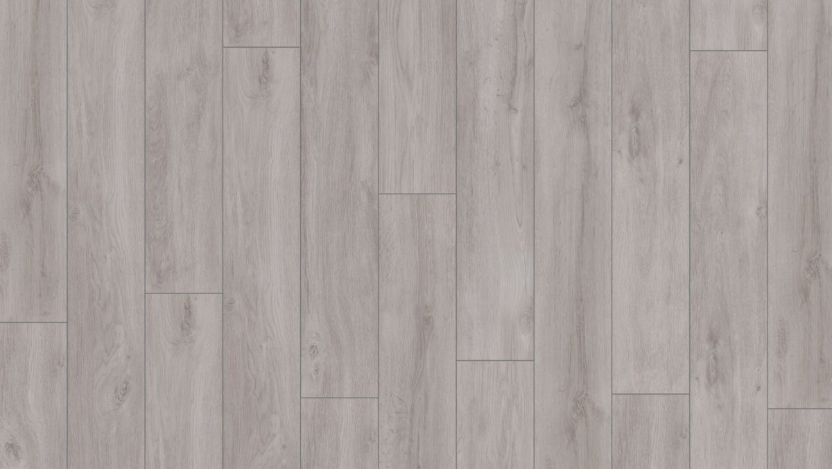 Дуб Курганный d 4781