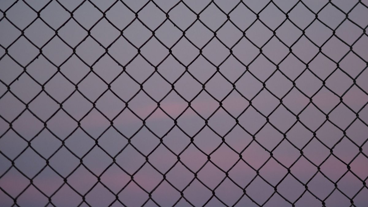 Черно белая сетка