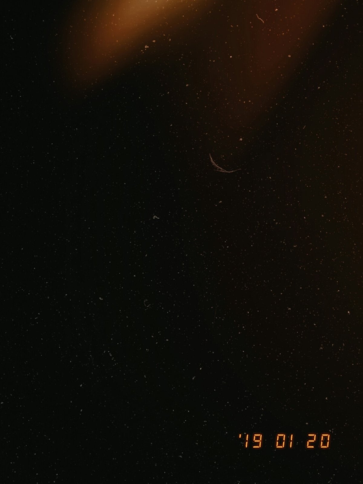 Пленочные фото с датой