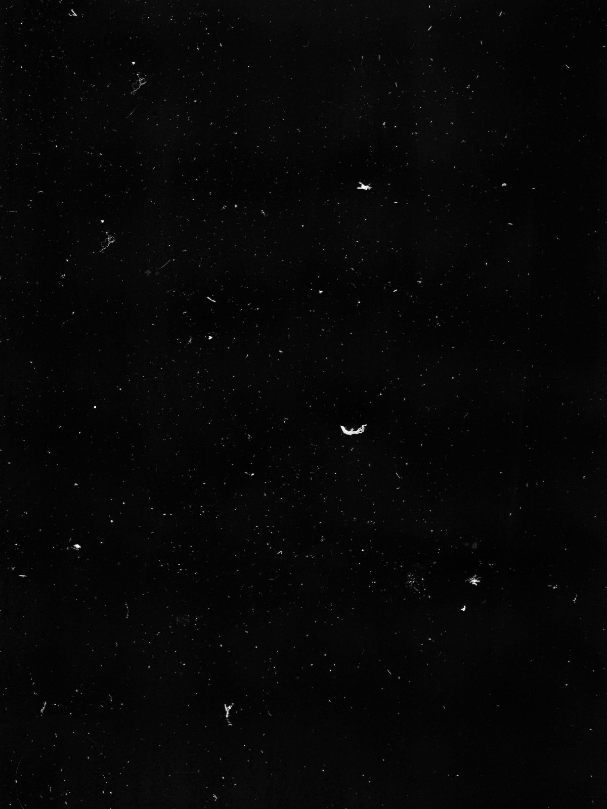 Старая пленка