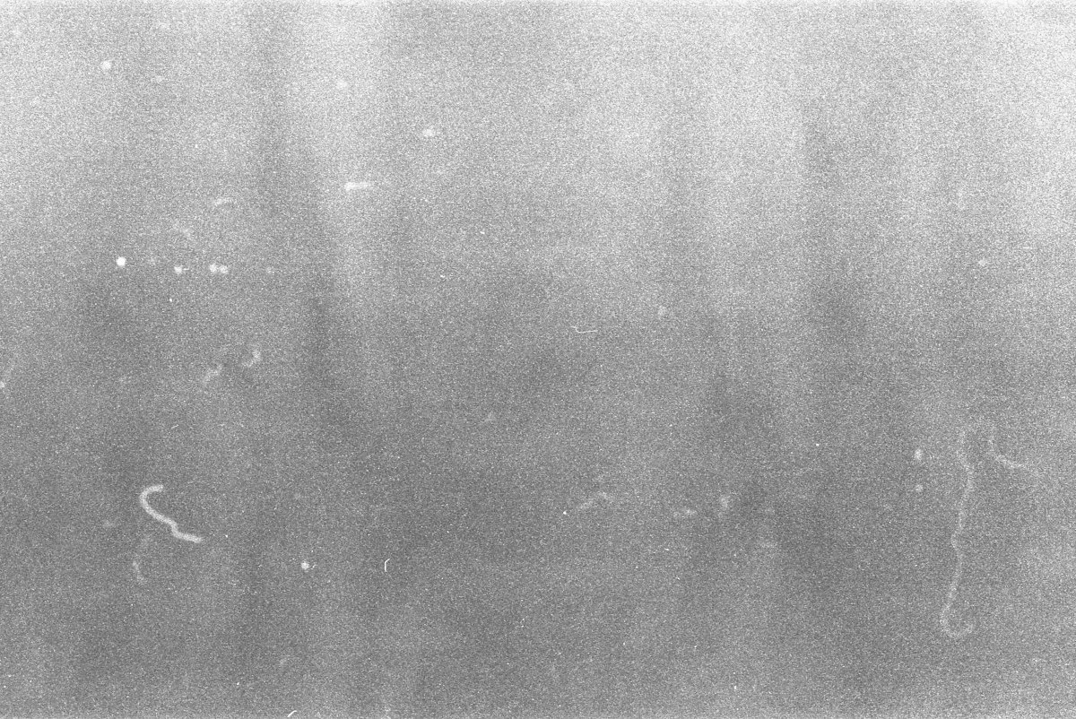 Эффект засвеченной пленки