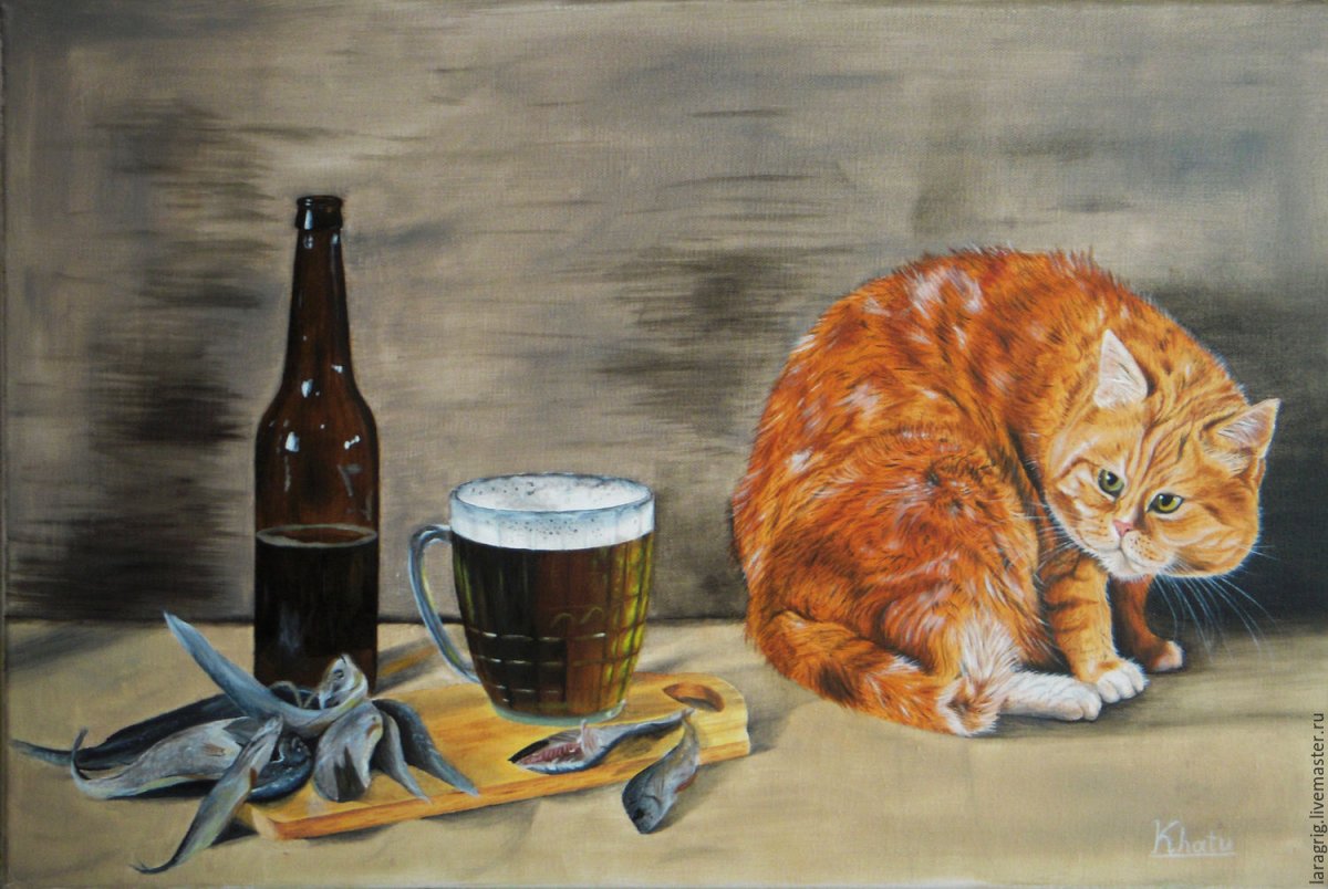 Кот с пивом на голове