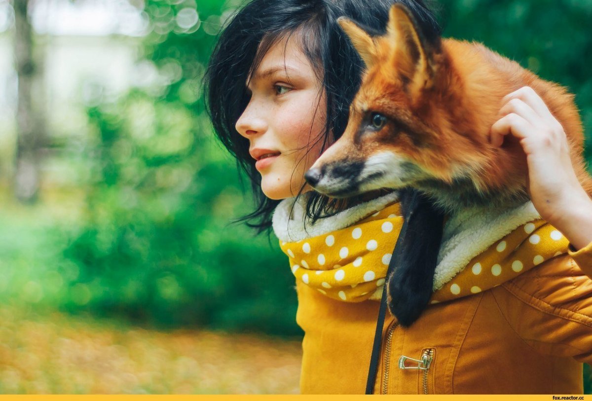 Елена Санаева лиса Алиса