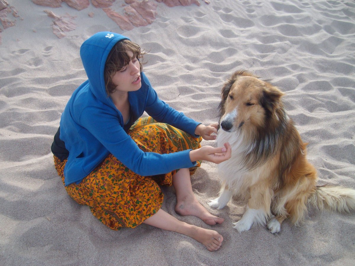 Лиса Алиса и кот Базилио арт