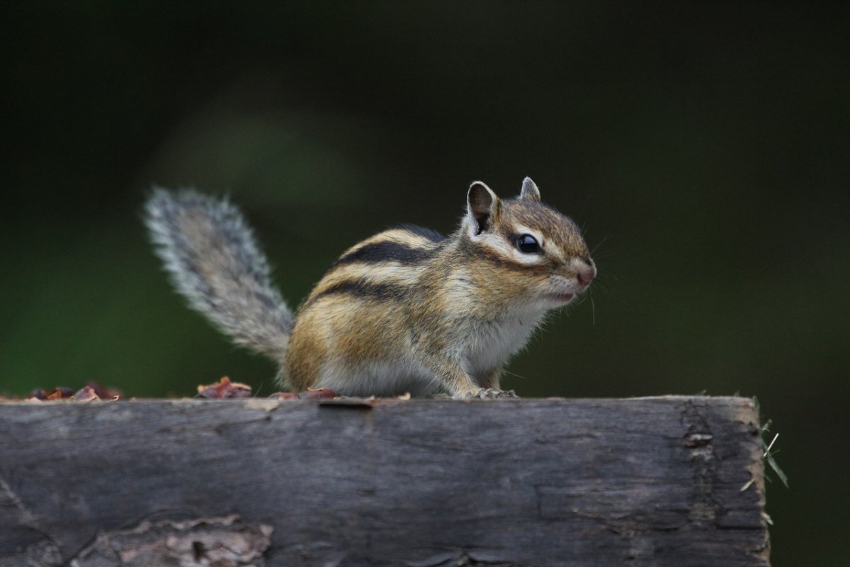 Озеро Ильмень Миасс