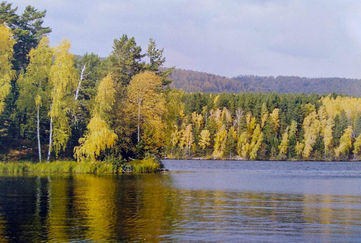 Кургальский заказник