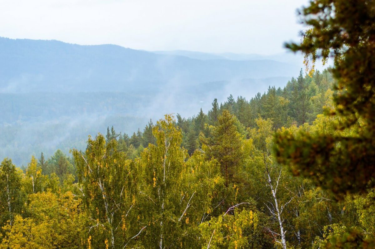 Ильменский заповедник Челябинской области