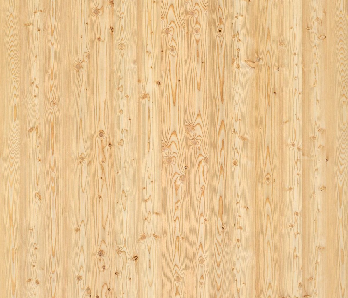 Светлое дерево текстура