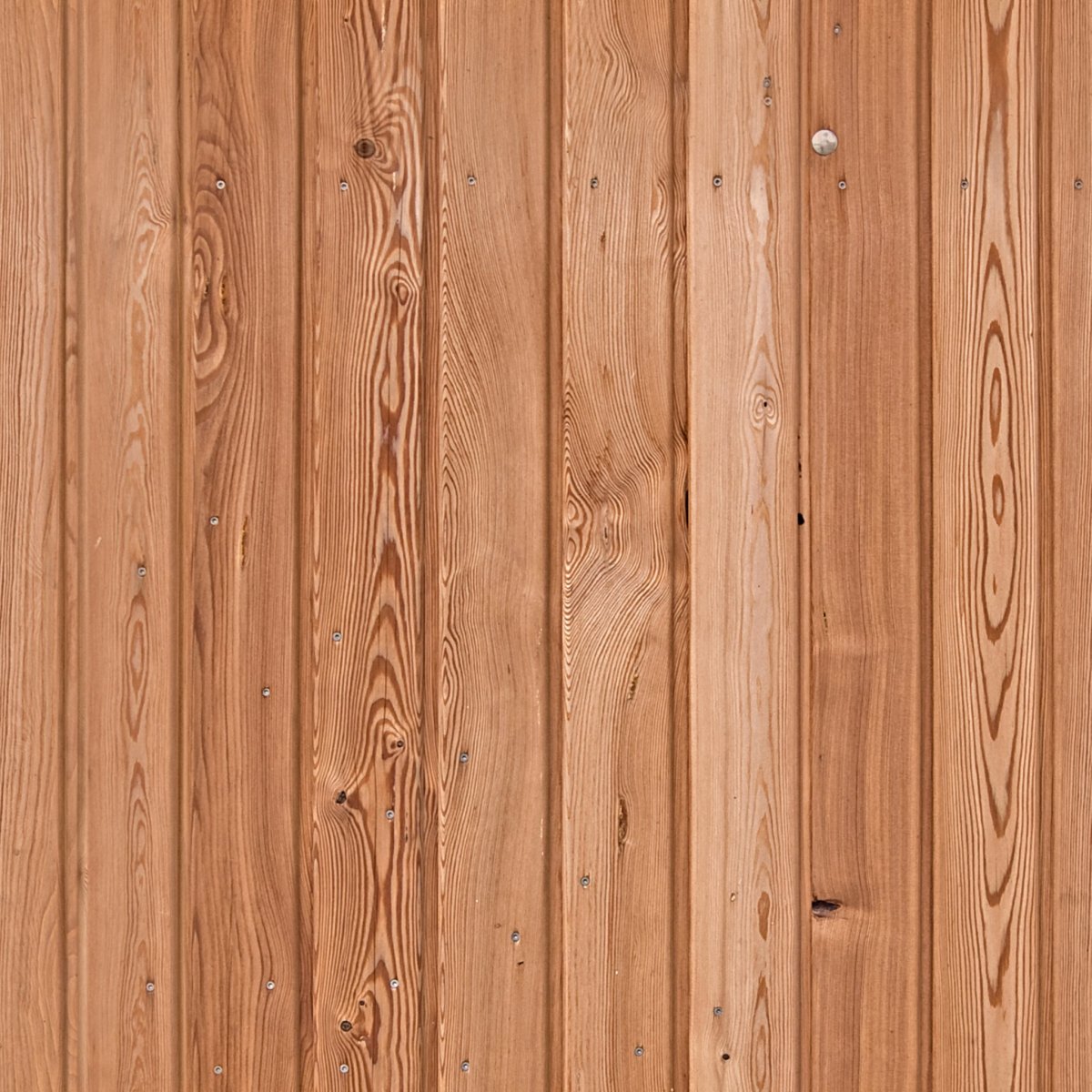 Лиственница текстура