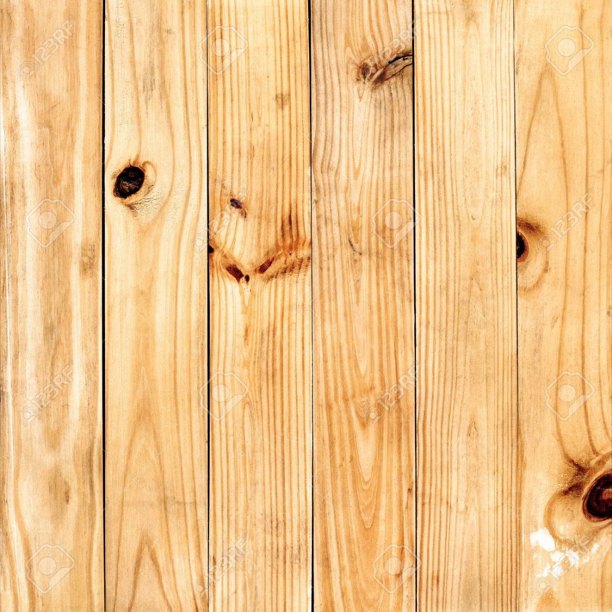 Сосновые ветки текстура