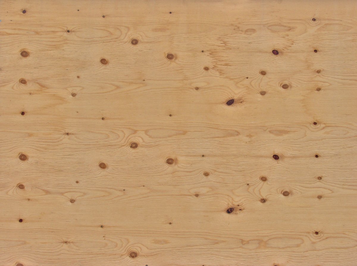 Сосна текстура