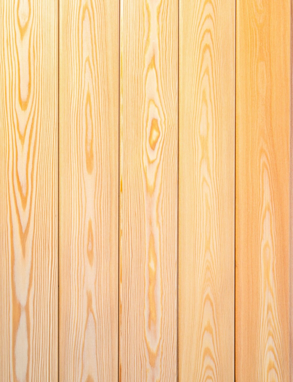 Светлое дерево текстура