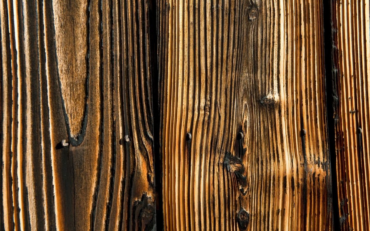 Текстура дерева