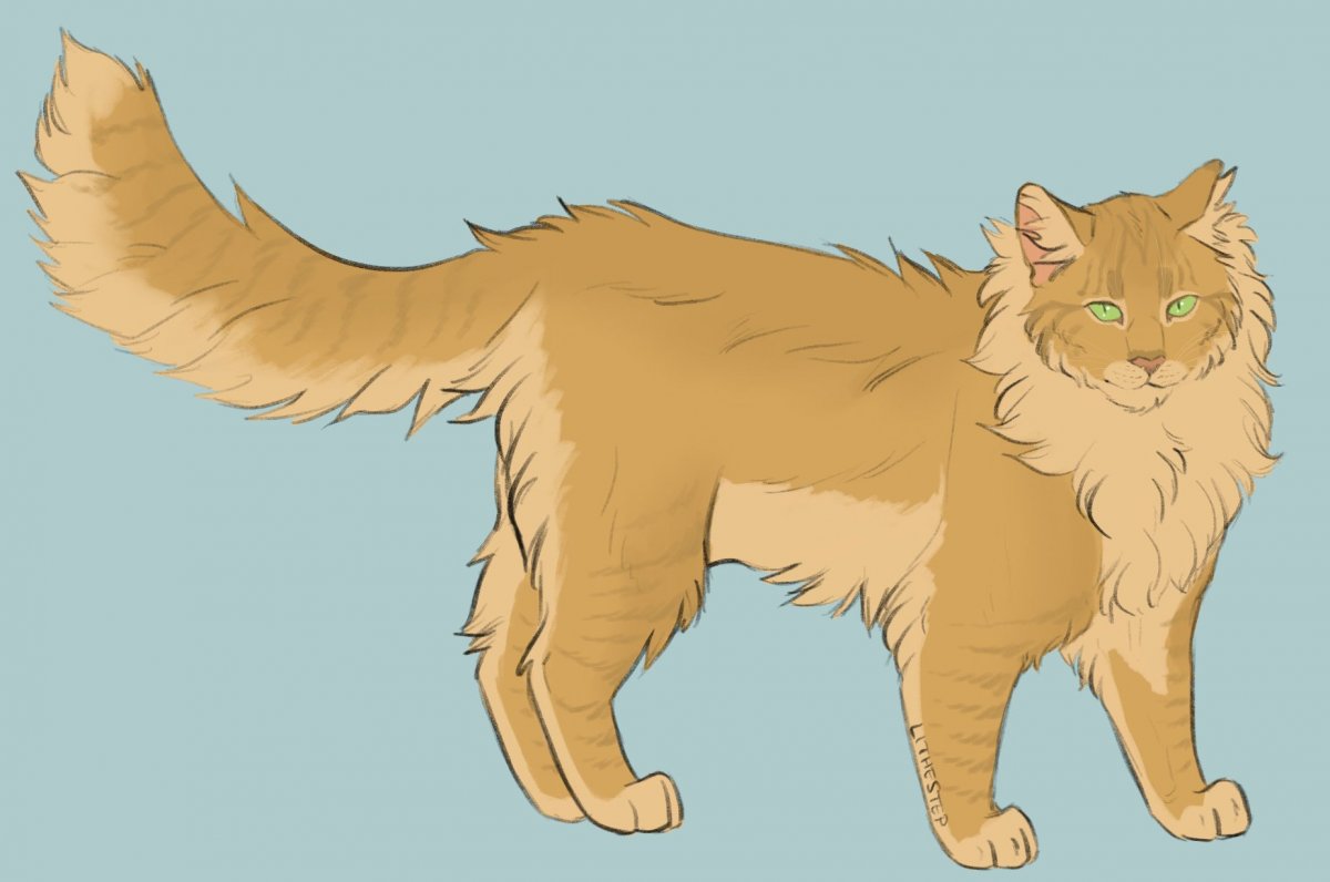 Львиное сердце коты Воители