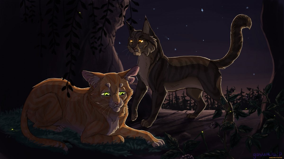 Коты Воители племя теней