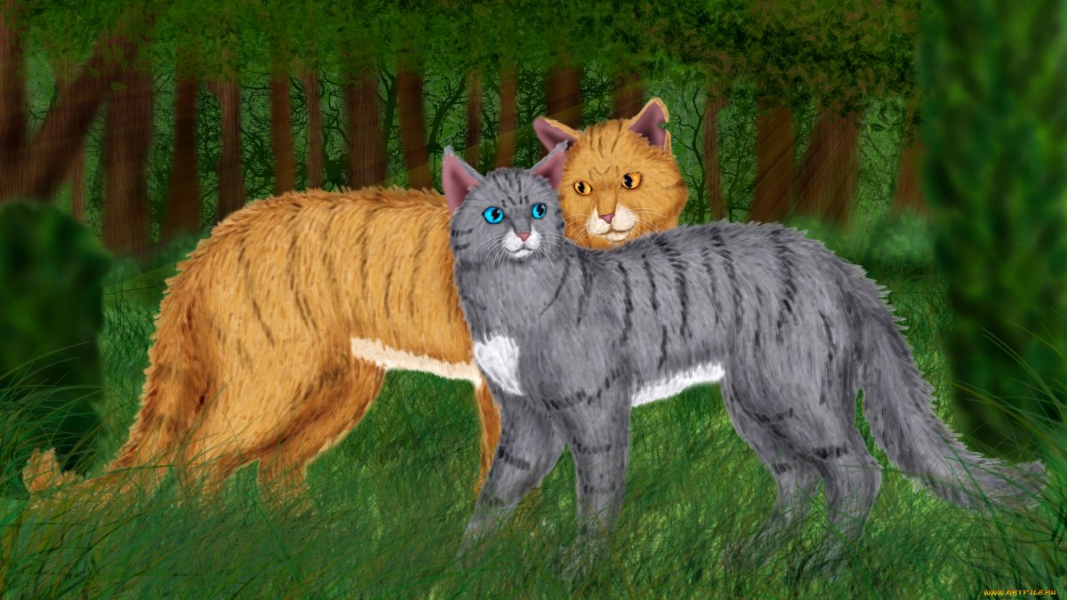 Flametail коты Воители