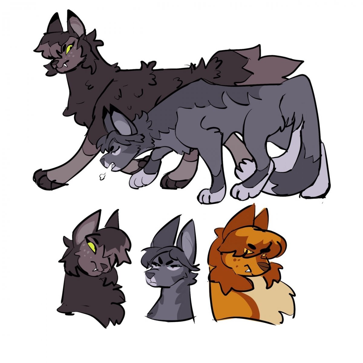 Коты Воители Львиногрив и Белоснежка