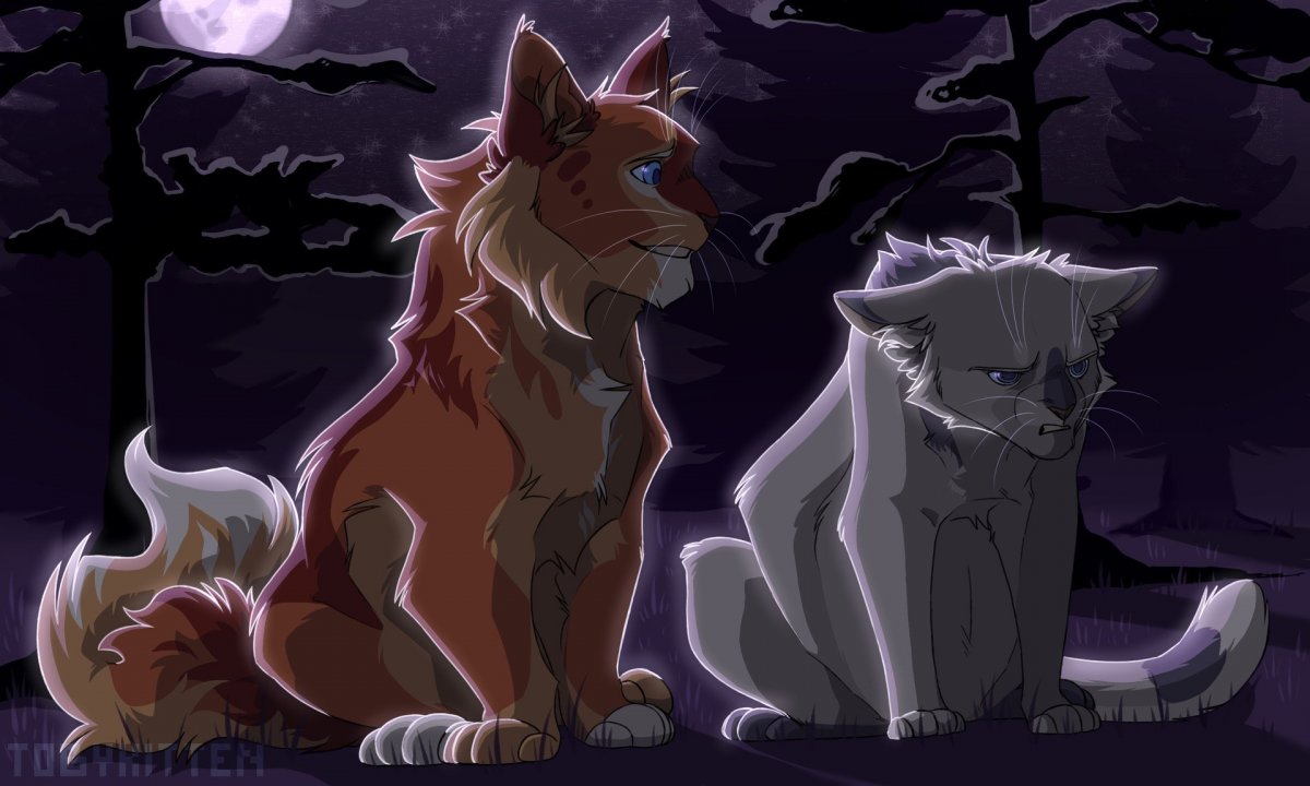 Коты Воители Огнезвёзд