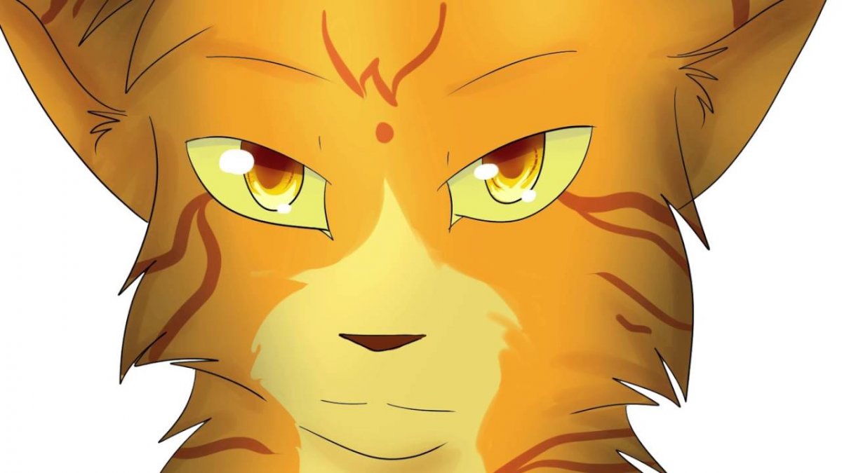 Коты Воители обои на рабочий стол