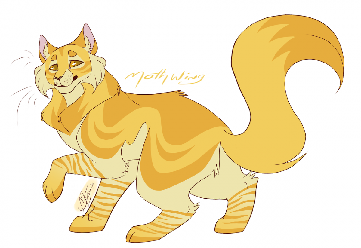 Коты Воители Огнезвезд