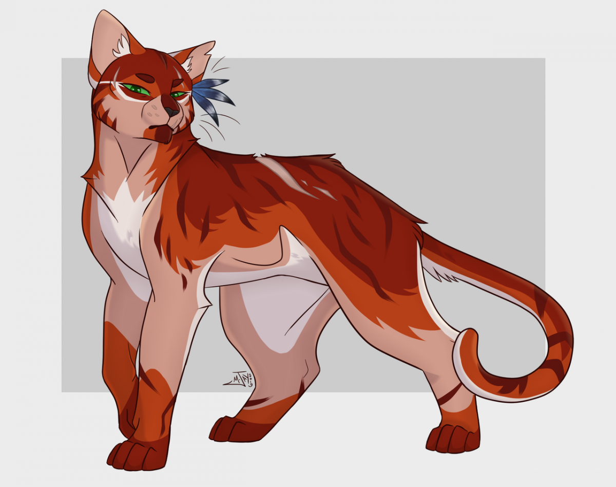 Коты Воители арт на закате