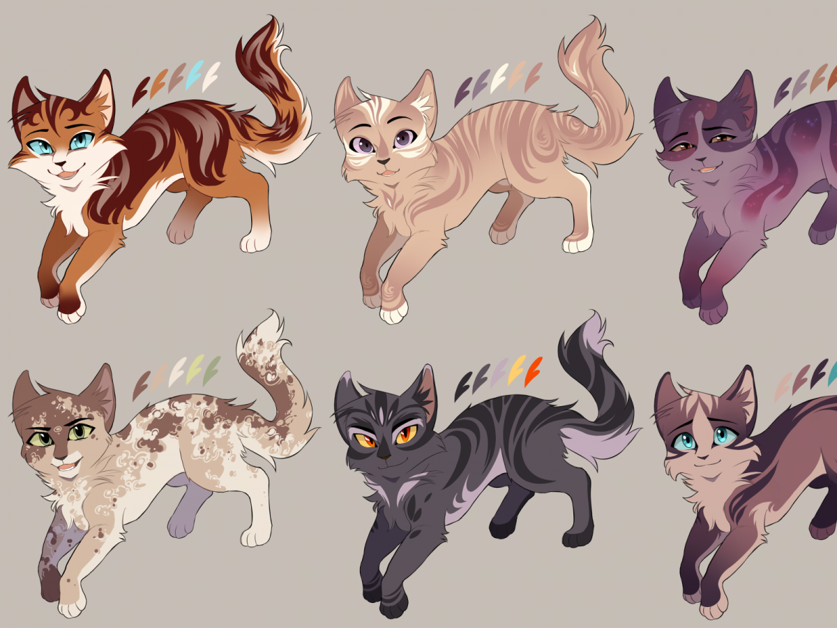 Коты Воители адопты