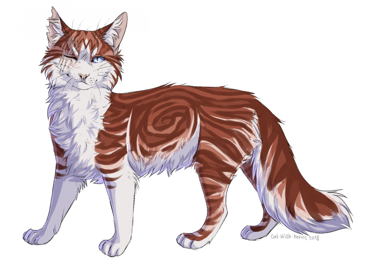 Коты Воители Гладкоуска