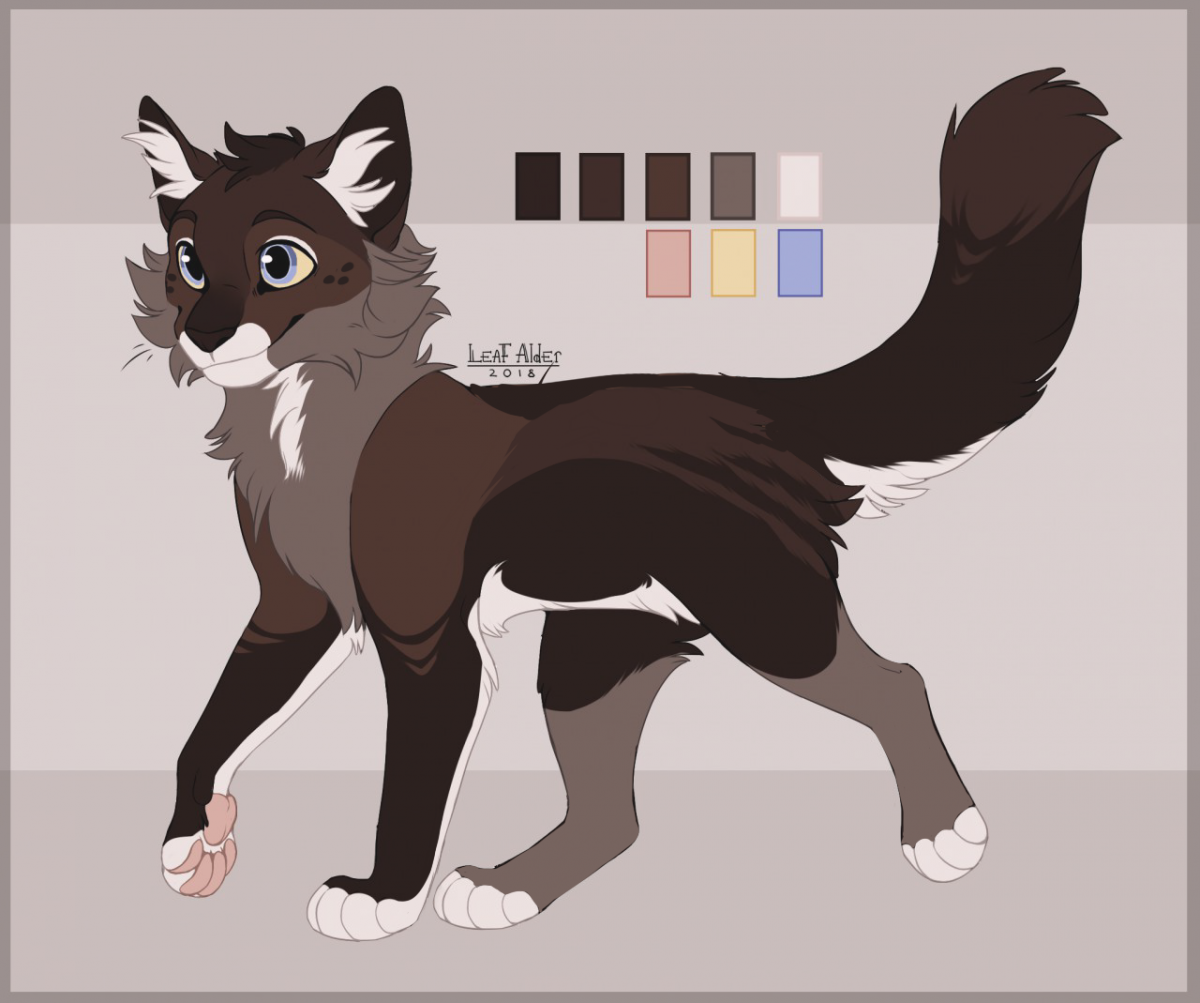 Коты Воители адопт