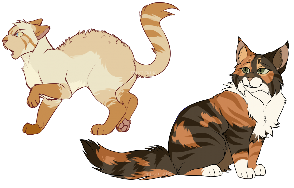 Коты Воители адопты