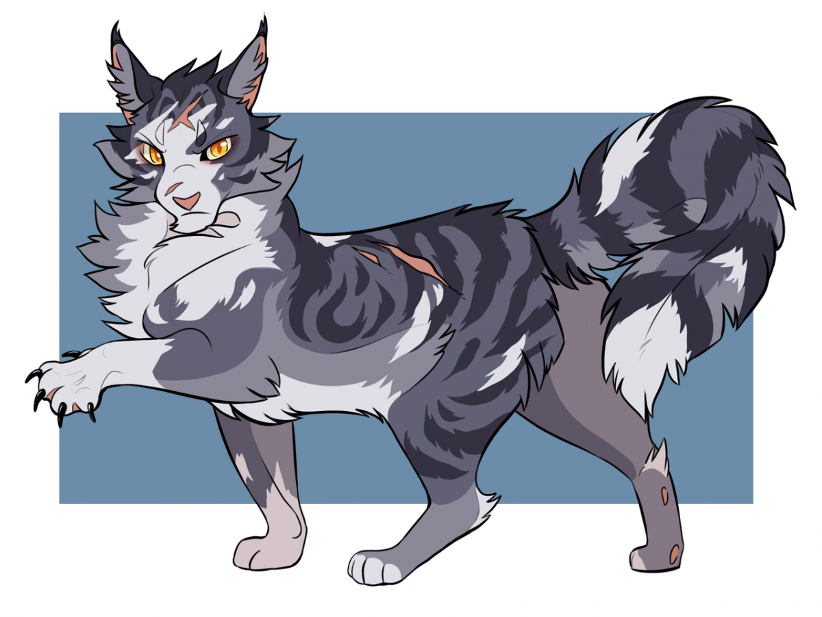 Коты Воители Сью