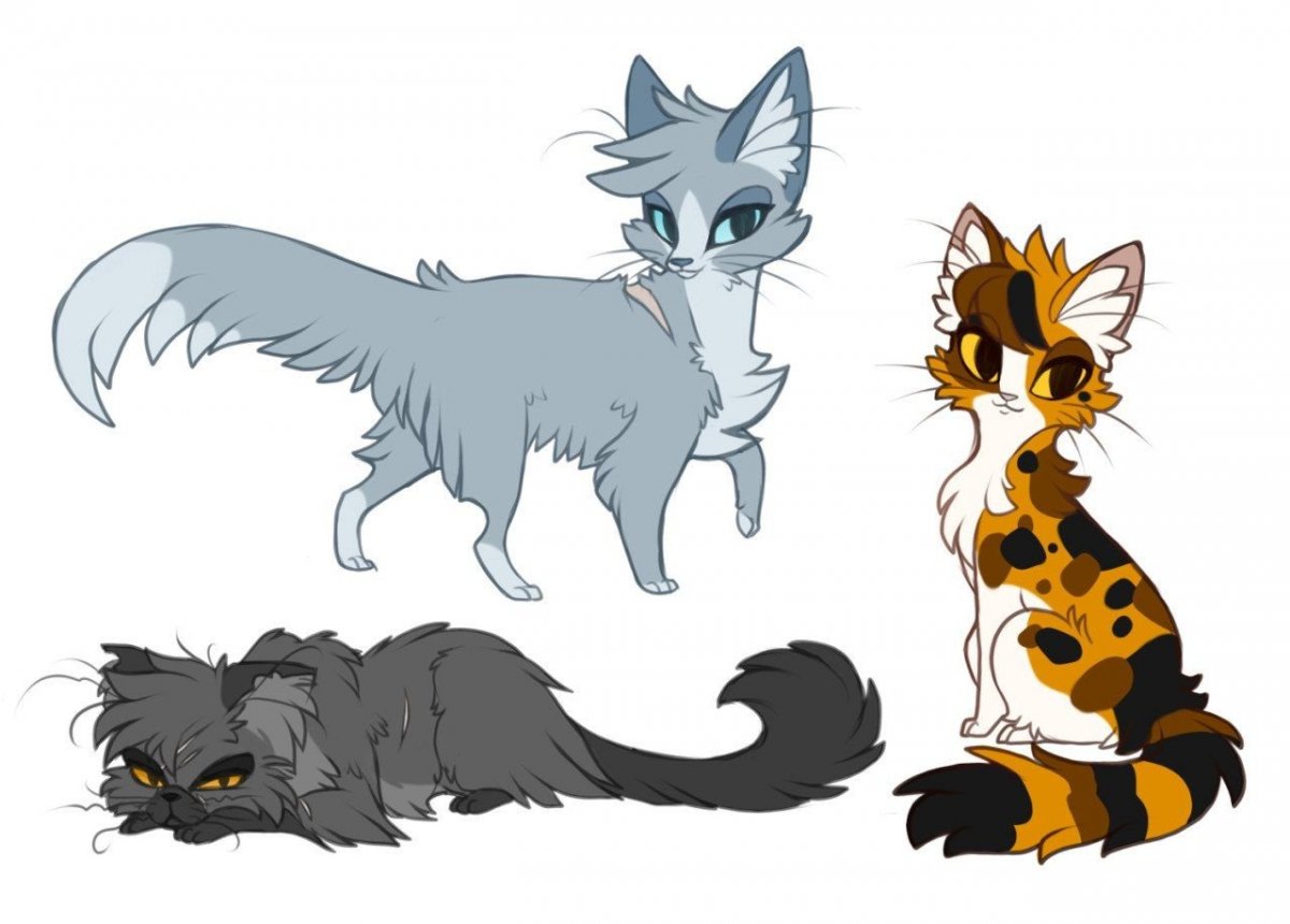 Коты Воители окрасы адопты