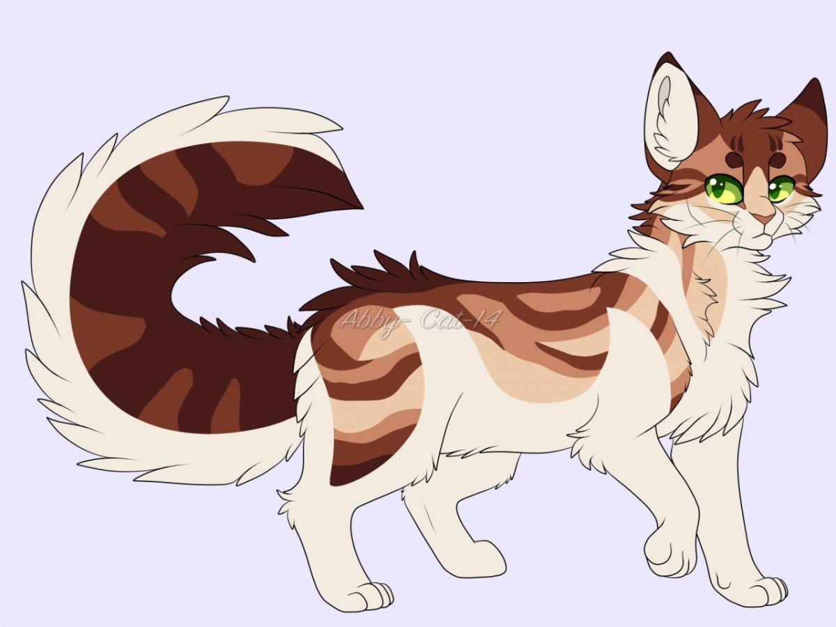 Коты Воители адопты