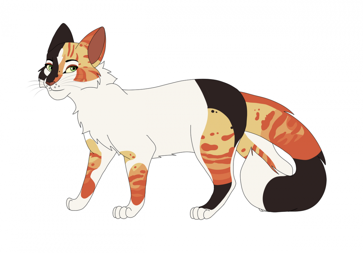 Коты Воители реферансы