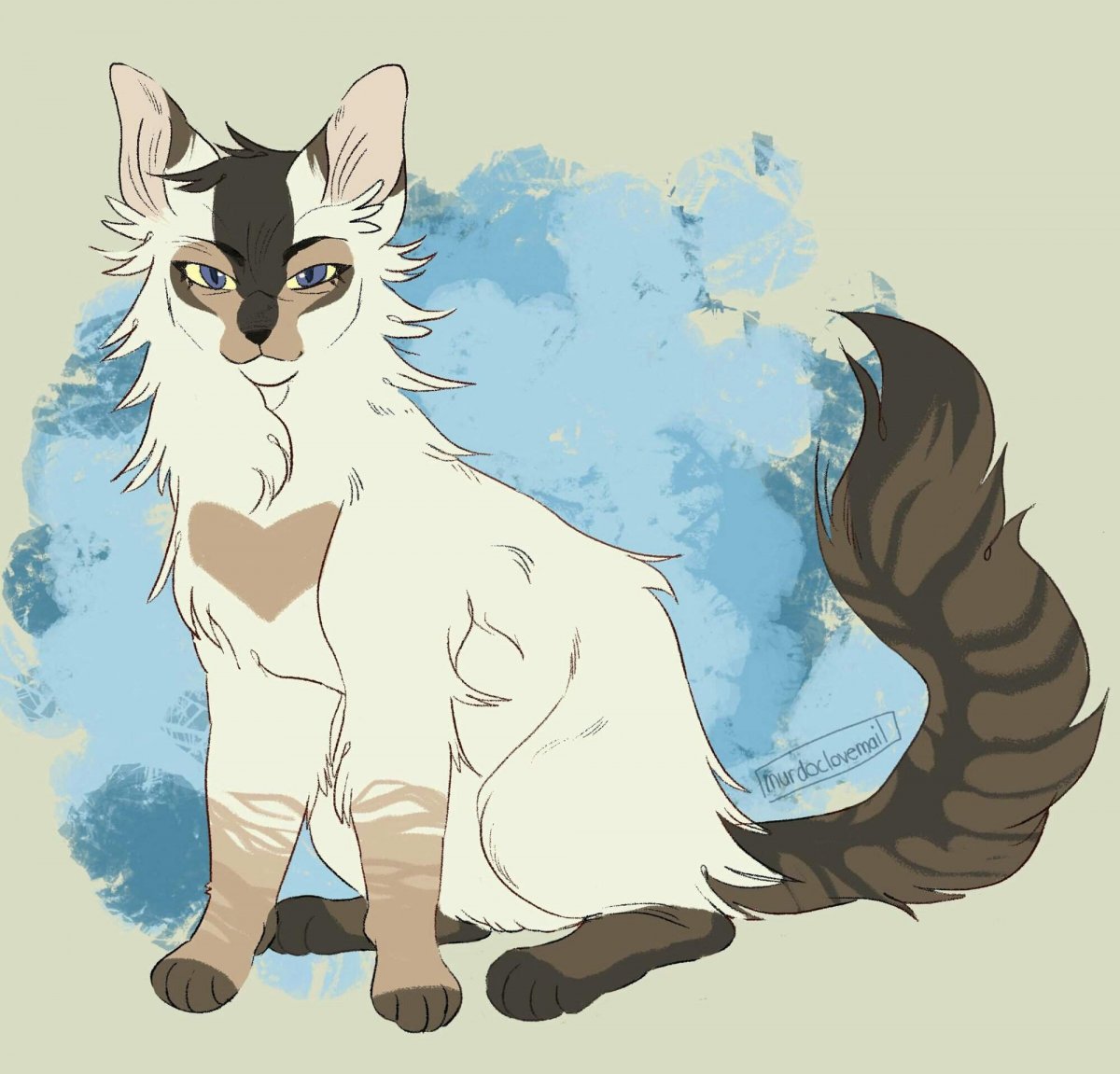 Коты Воители адопты темные