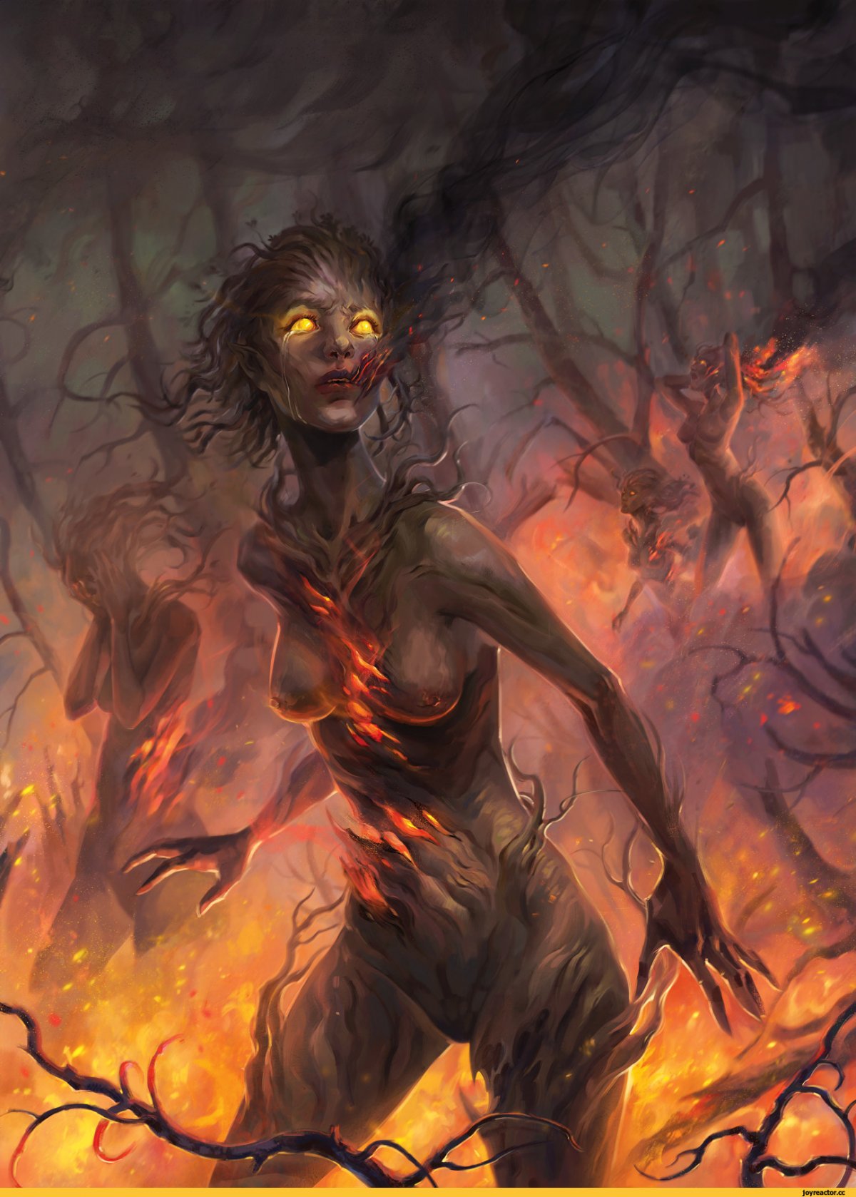 Dryad Soraka аниме