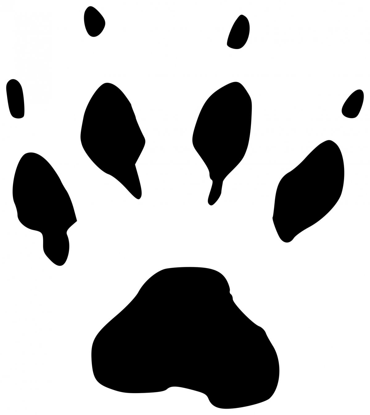 Следы ласки на снегу