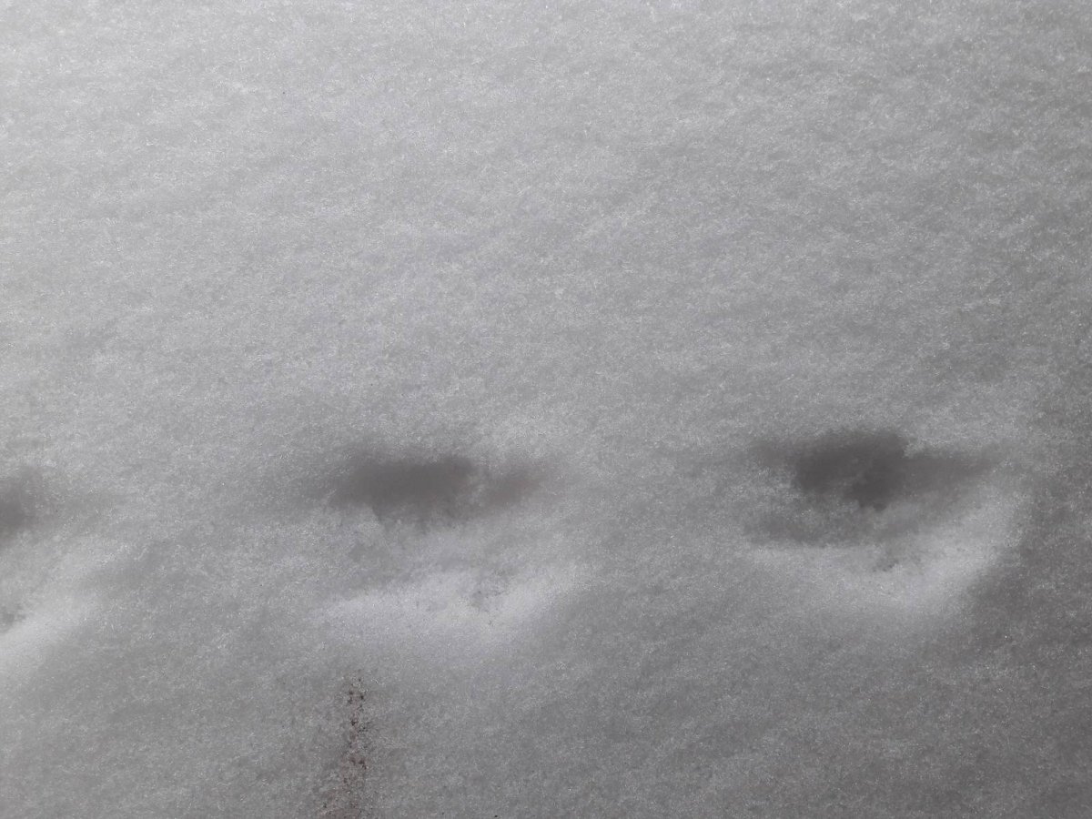 Ласка след Графика