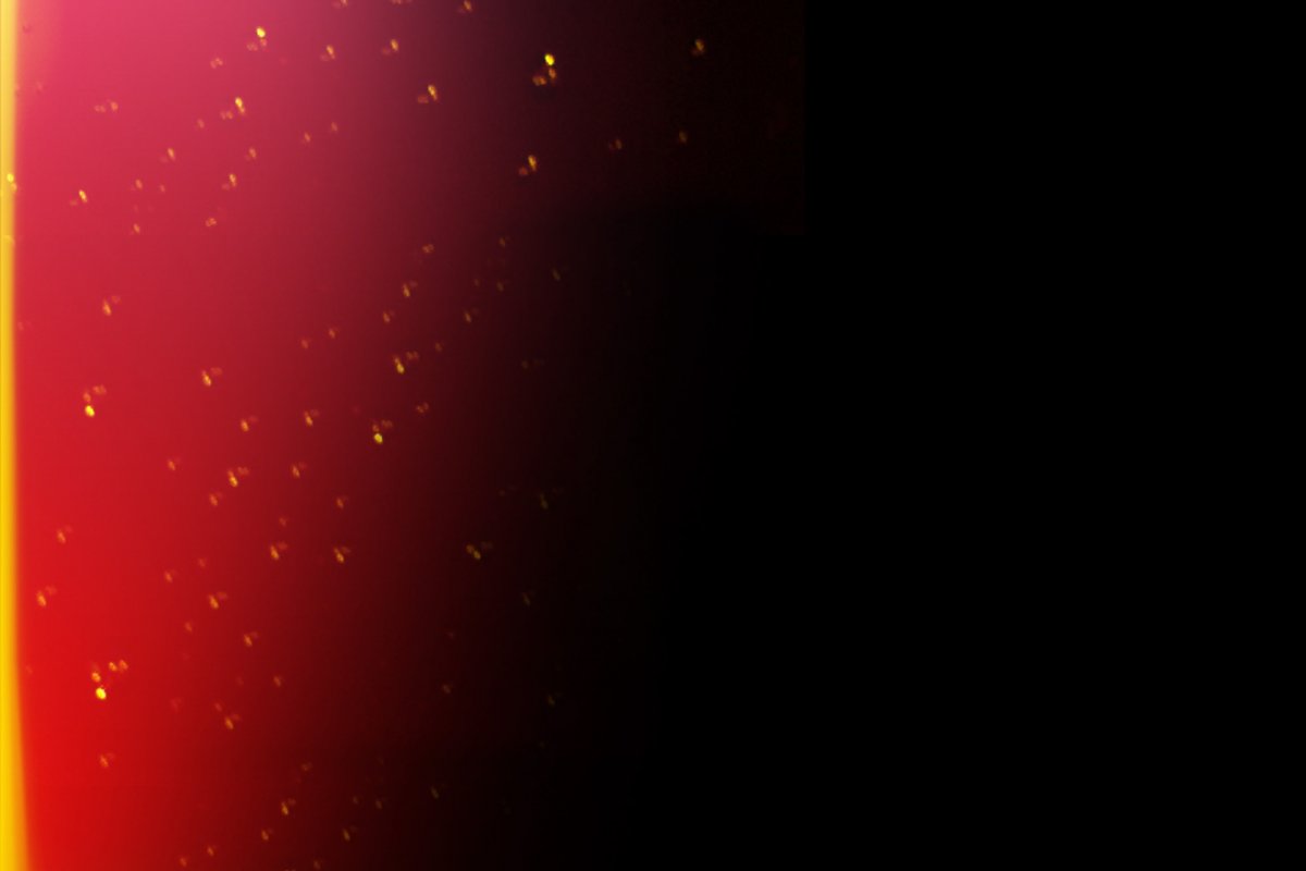 Пыль и царапины