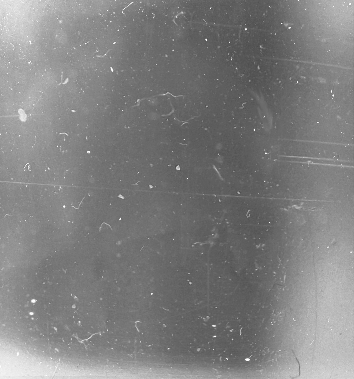 Текстура засвеченной пленки