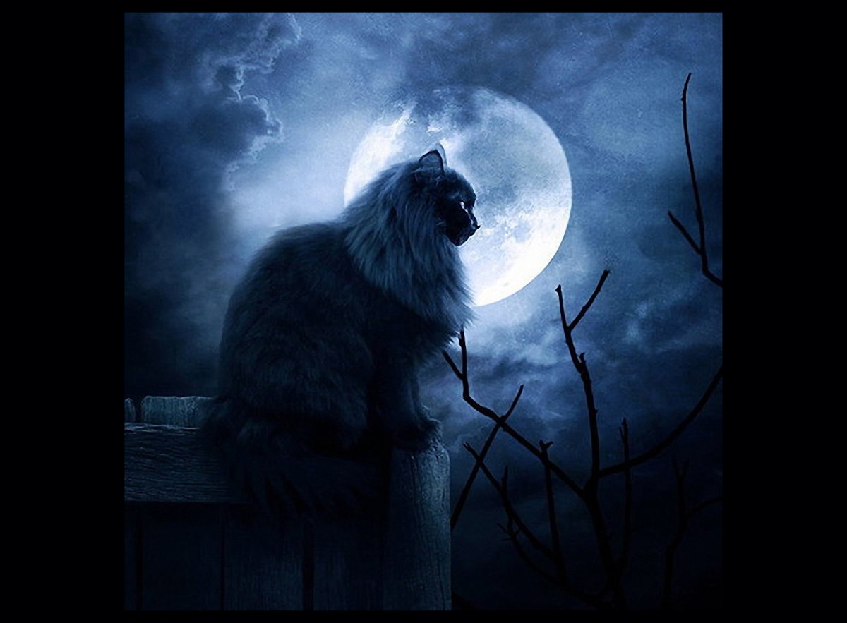 Гарри Поттер и узник Азкабана оборотень