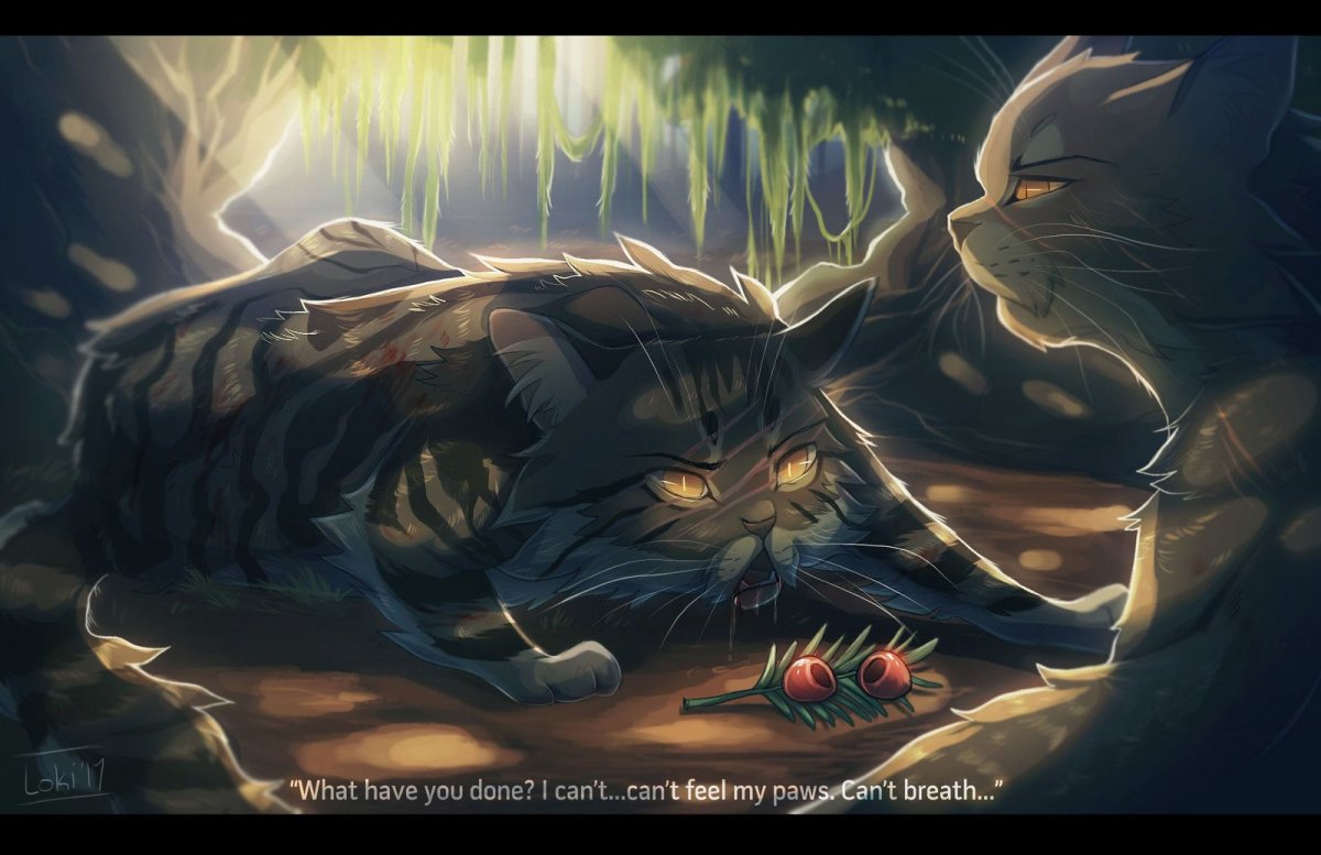 Коты Воители смерть коршуна