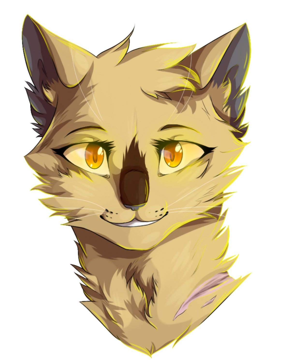 Коты Воители Мика