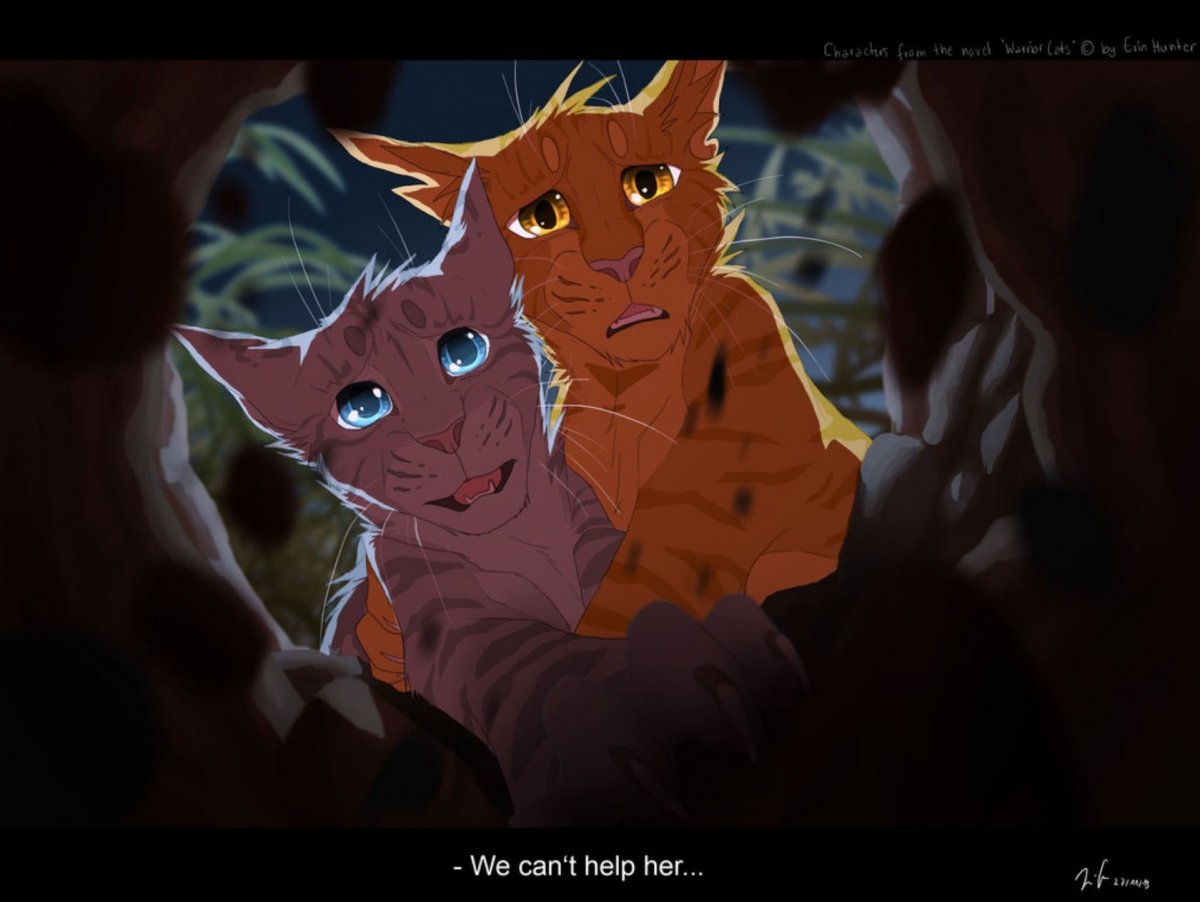 Коты Воители Акира Остролистая