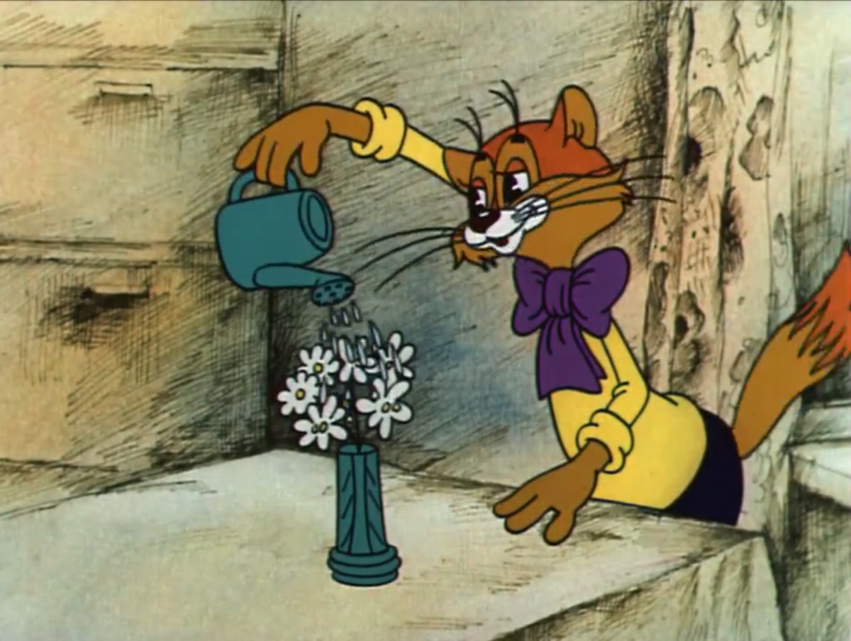 Кошка на велосипеде